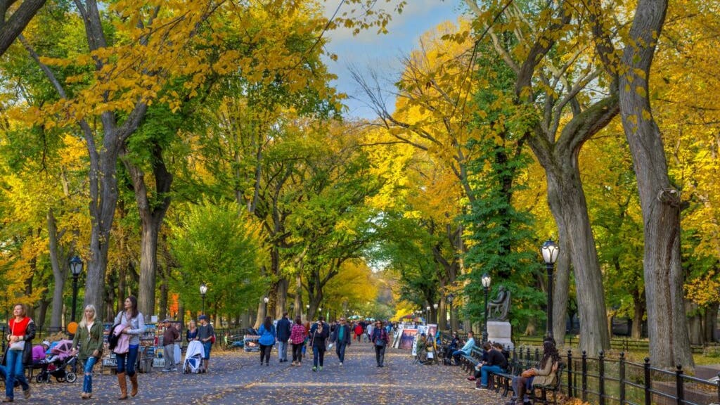 New Yorkers react to retirement numbers, exclaiming “Who could save so much?”